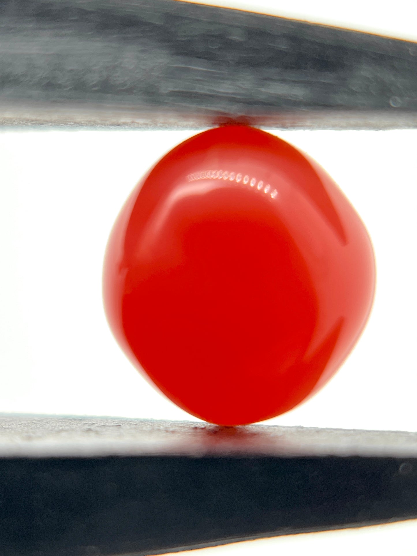 2.80 ct. Natural Reddish-Pink Conch Pearl