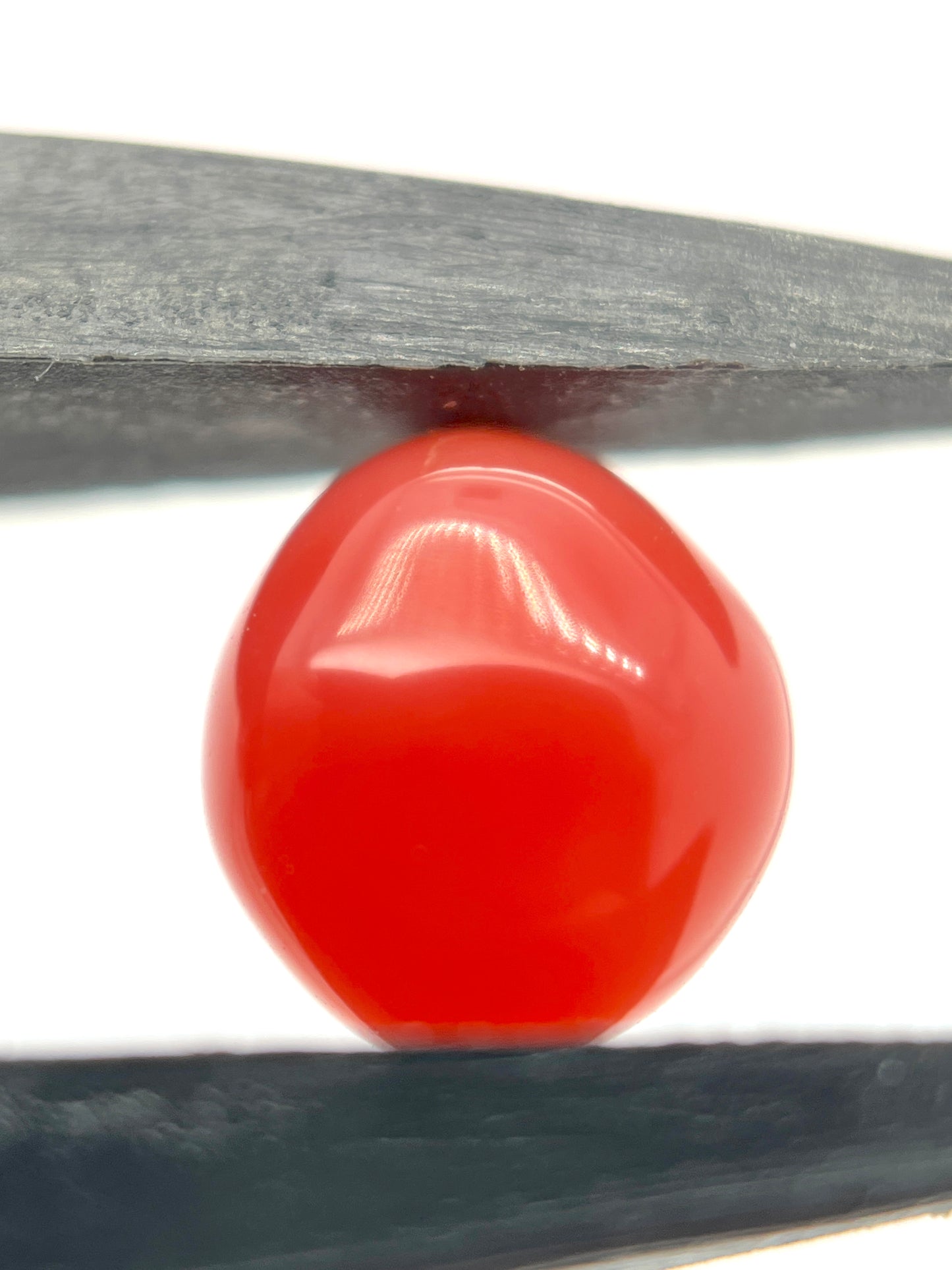 2.80 ct. Natural Reddish-Pink Conch Pearl