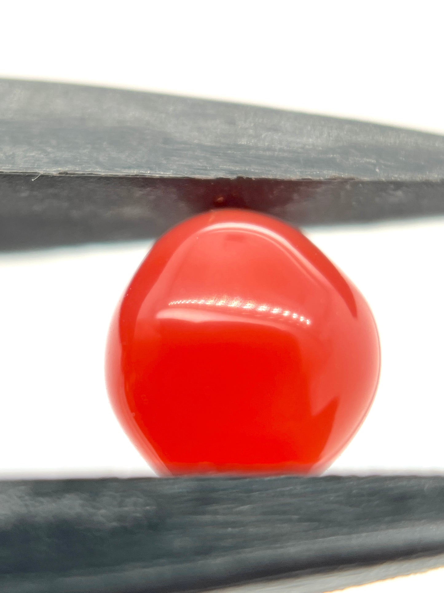 2.80 ct. Natural Reddish-Pink Conch Pearl