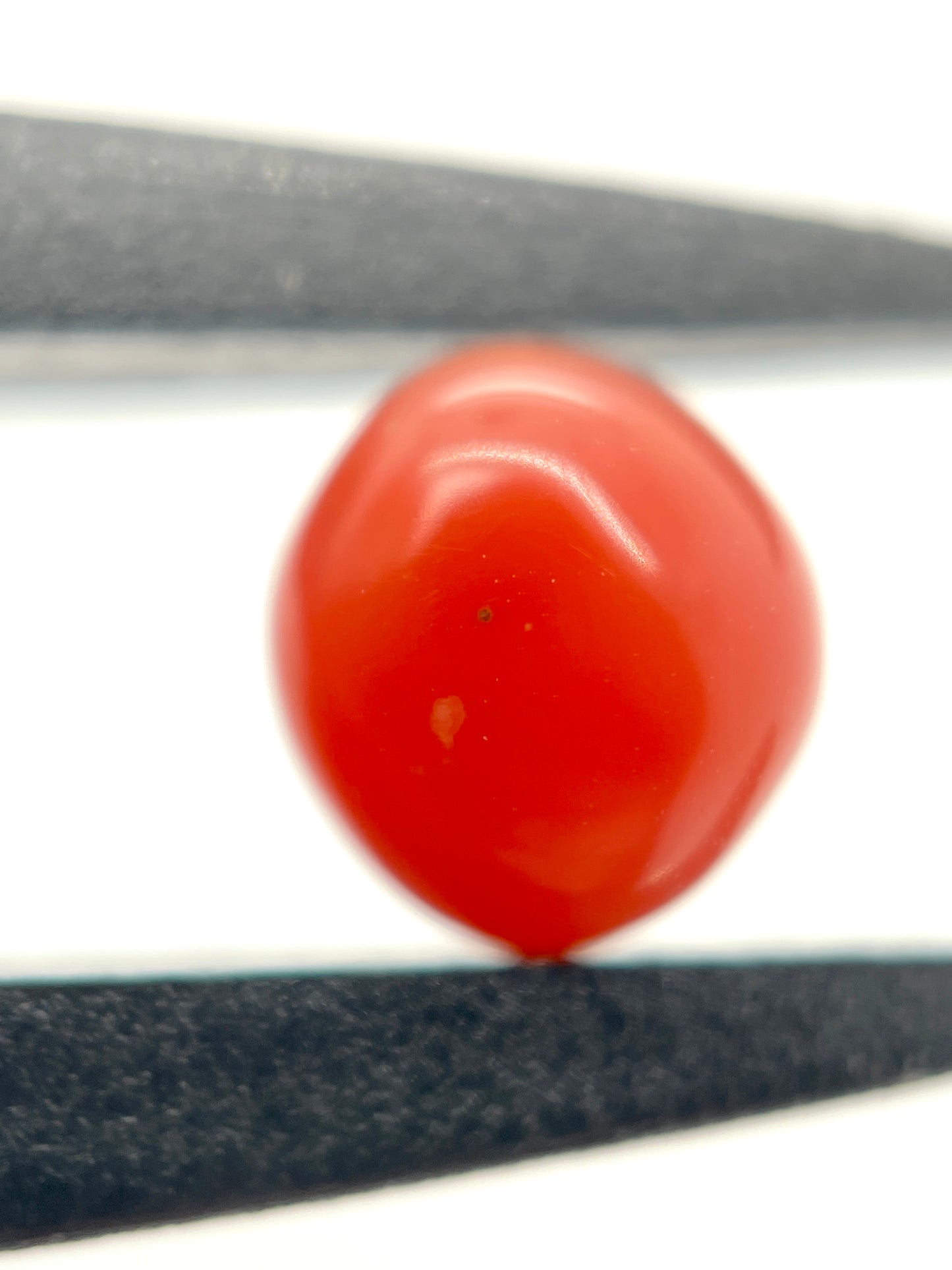 2.80 ct. Natural Reddish-Pink Conch Pearl