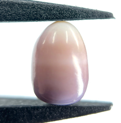 3.37 ct. Natural Purple Quahog Pearl