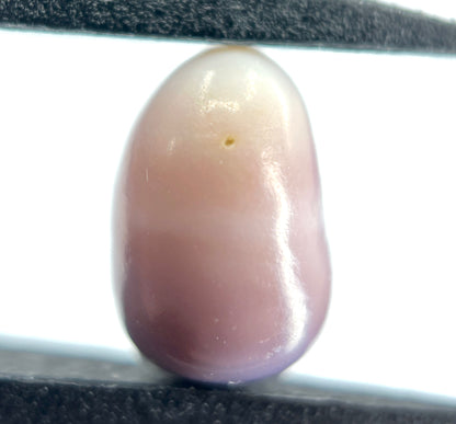 3.37 ct. Natural Purple Quahog Pearl