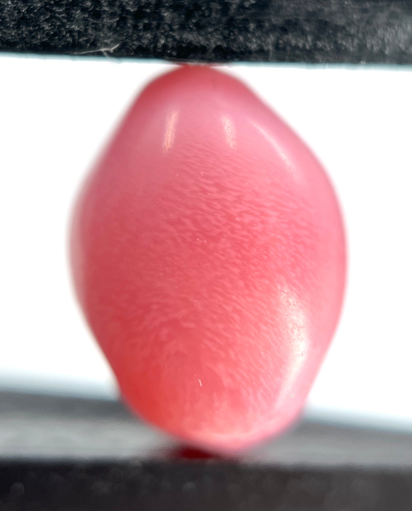 6.80 ct. Natural Pink Conch Pearl
