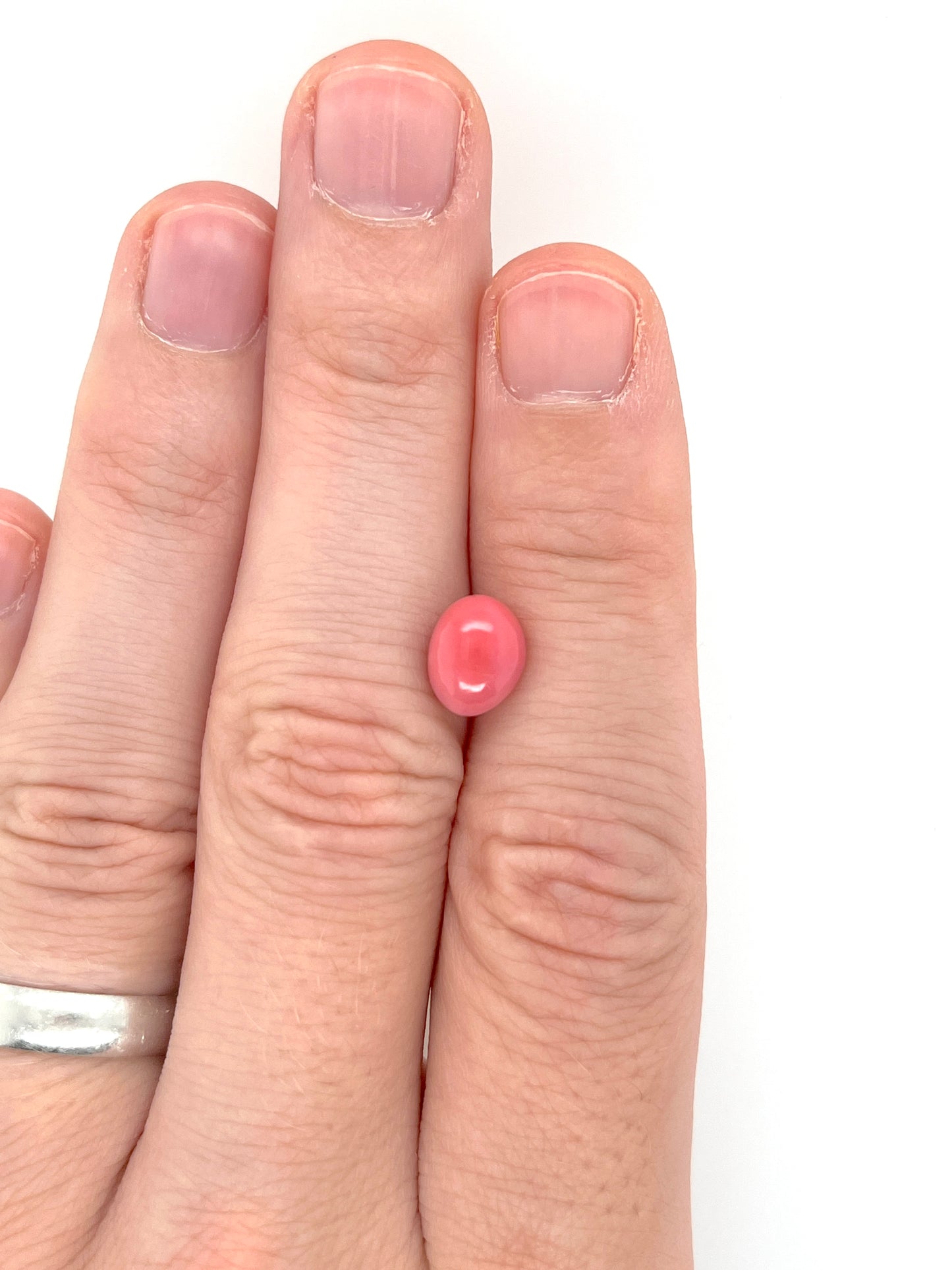 3.72 ct. Natural Pink Conch Pearl