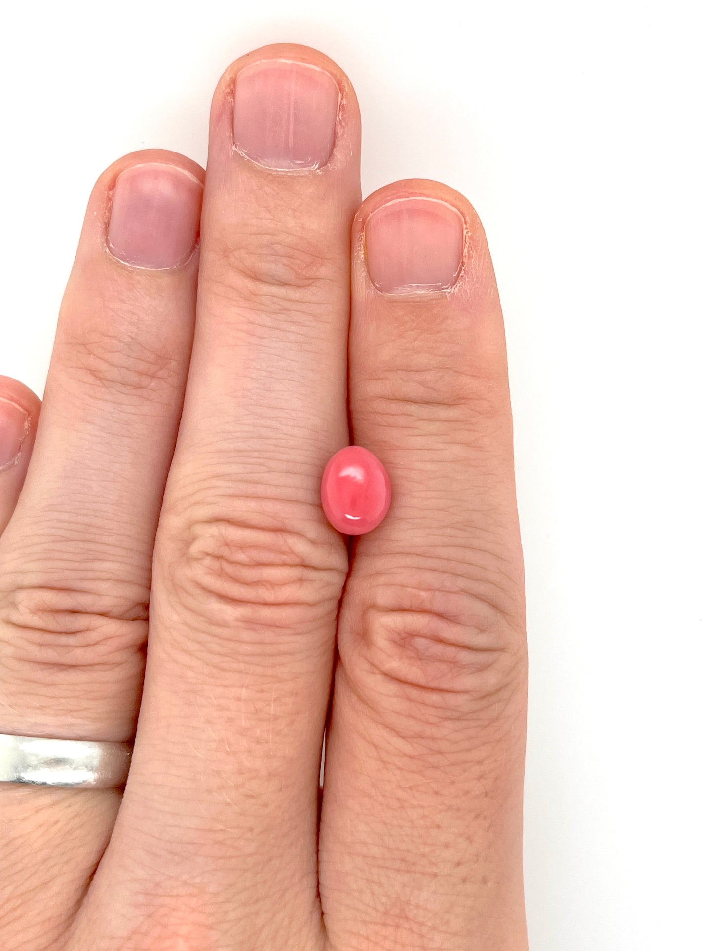 3.72 ct. Natural Pink Conch Pearl