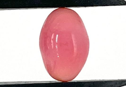 3.00 ct. Natural Pink Conch Pearl