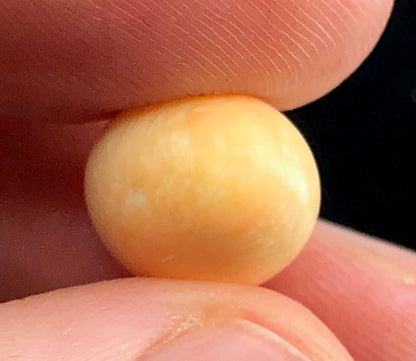 GIA 10.52 ct. Natural Melo Melo Pearl