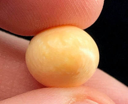 GIA 10.52 ct. Natural Melo Melo Pearl