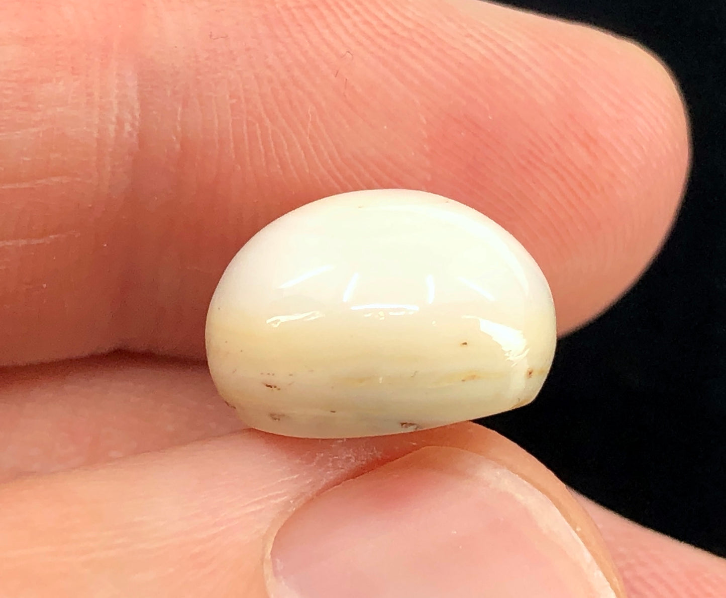 GIA 12.52 ct. Natural White Quahog Pearl