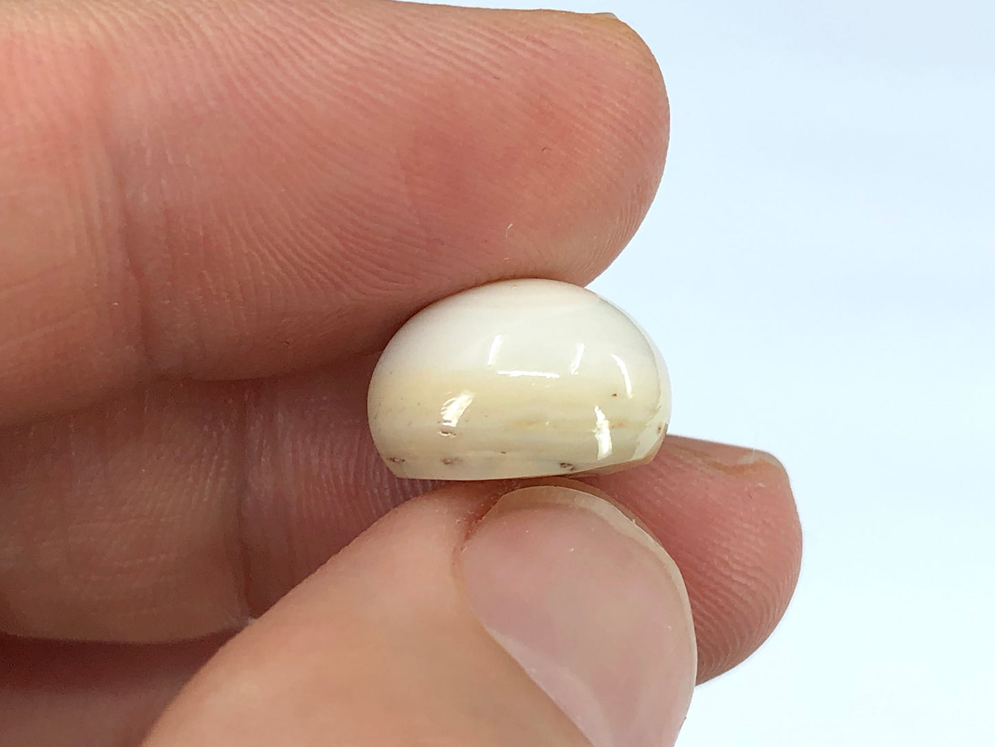 GIA 12.52 ct. Natural White Quahog Pearl