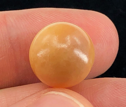 GIA 25.77 ct. Natural Melo Melo Pearl