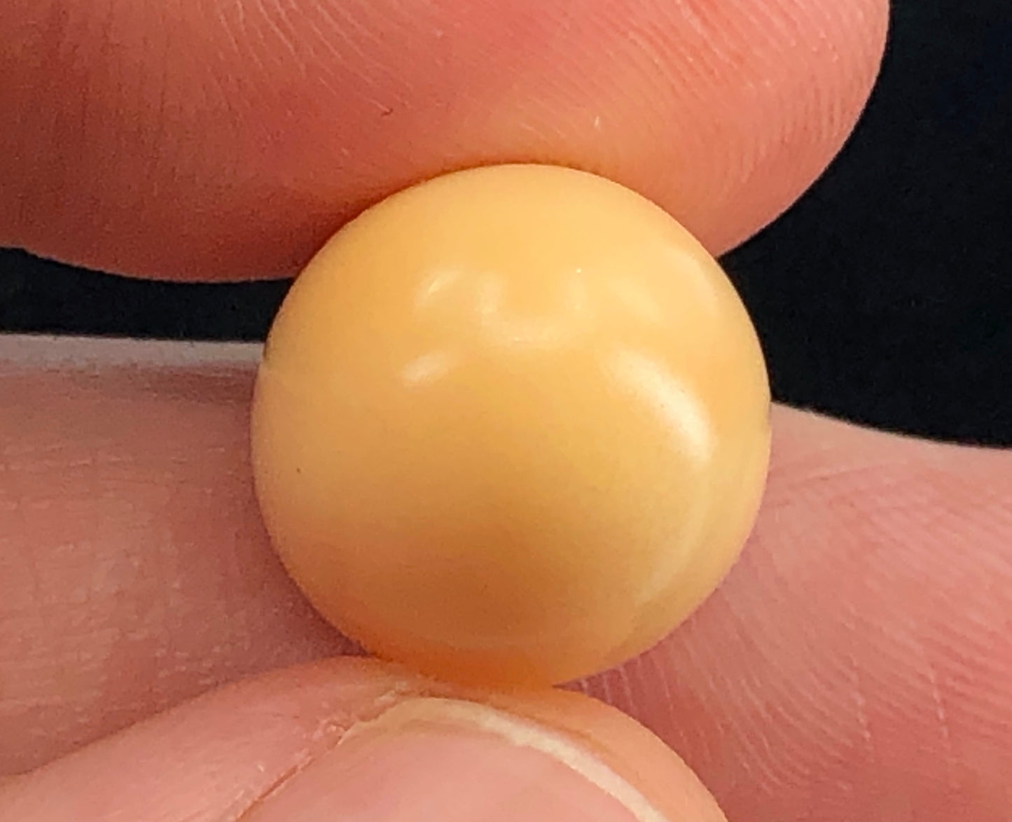 GIA 25.77 ct. Natural Melo Melo Pearl