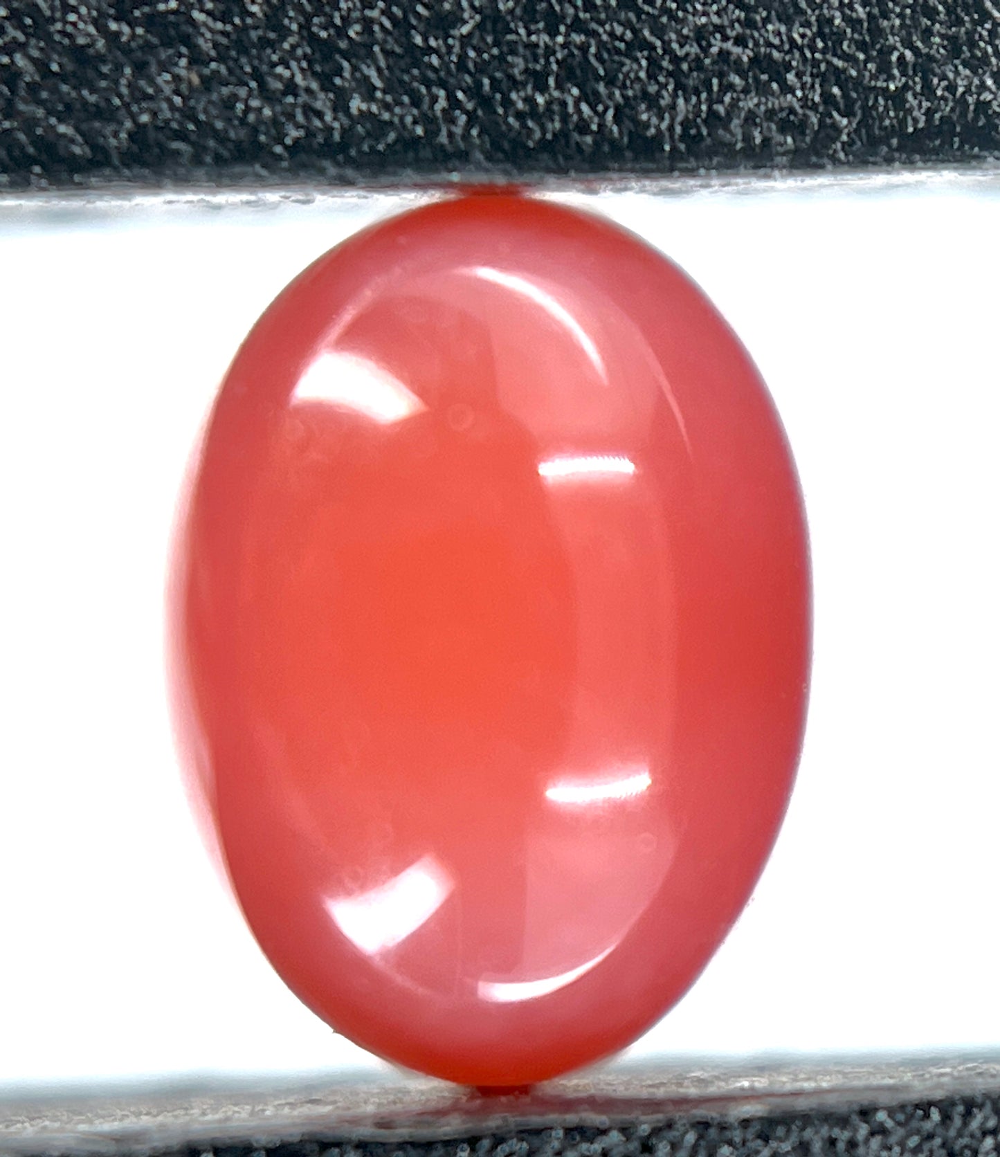 1.35 ct. Natural Pink Conch Pearl