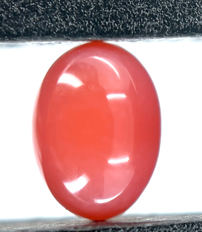 1.35 ct. Natural Pink Conch Pearl