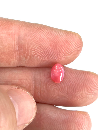 1.25 ct. Natural Pink Conch Pearl