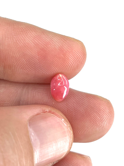 1.25 ct. Natural Pink Conch Pearl