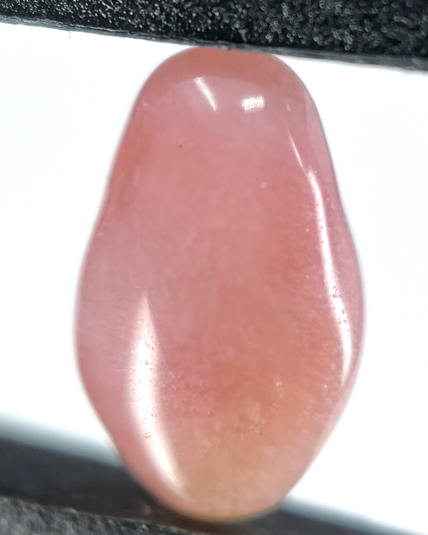 1.86 ct. Natural Light Pink Conch Pearl