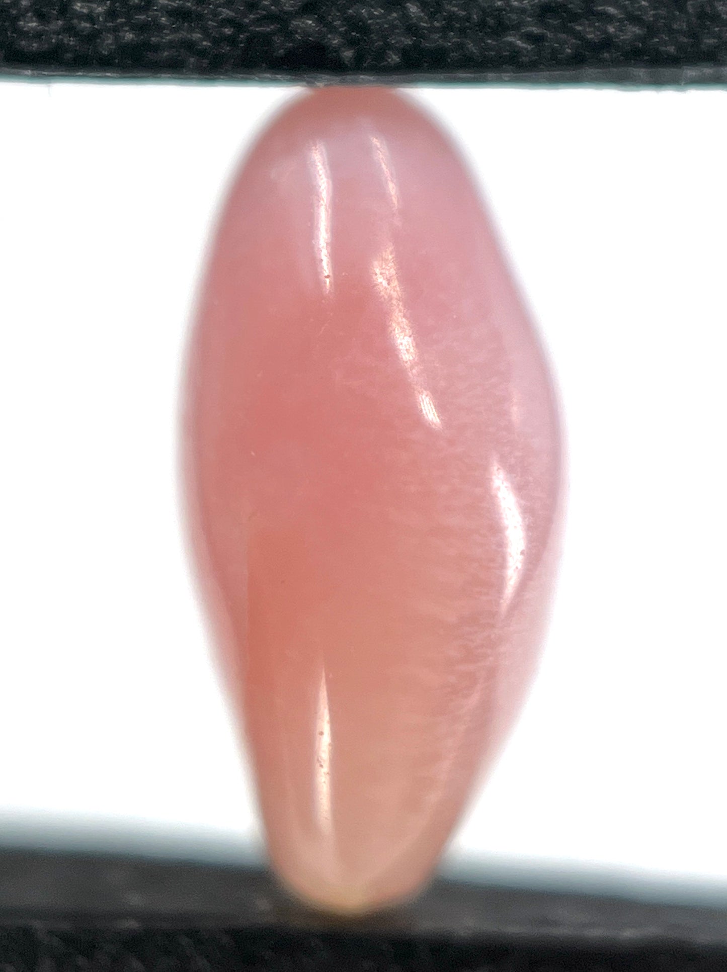 1.86 ct. Natural Light Pink Conch Pearl