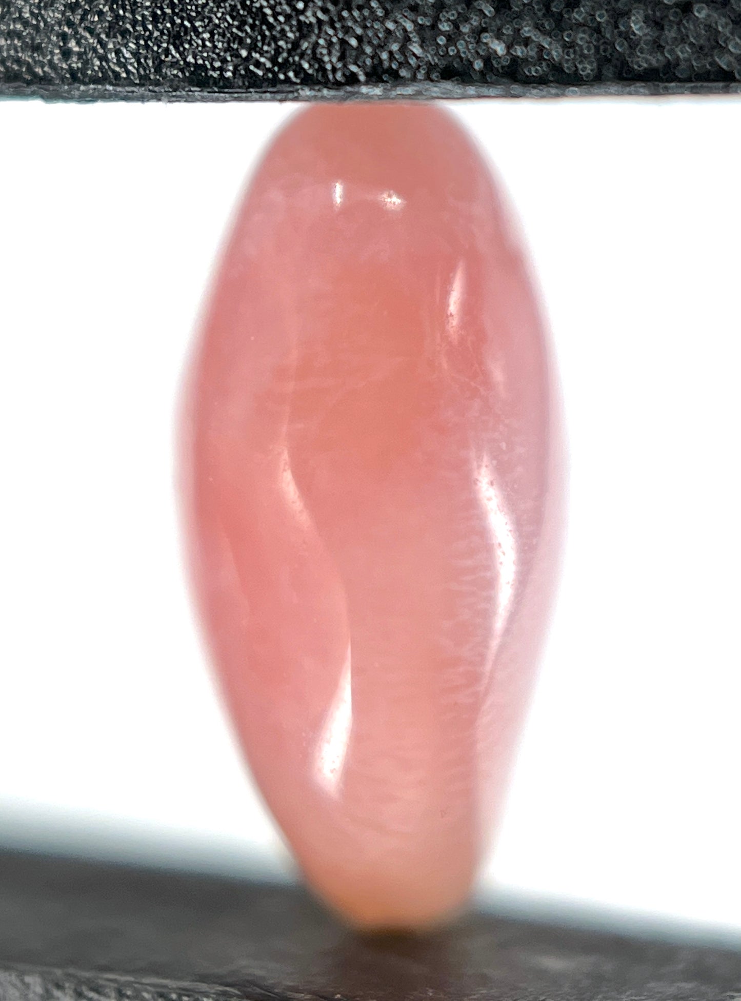 1.86 ct. Natural Light Pink Conch Pearl