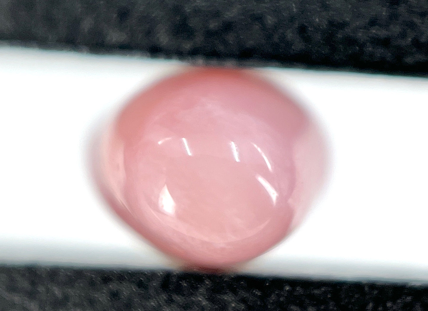 1.86 ct. Natural Light Pink Conch Pearl