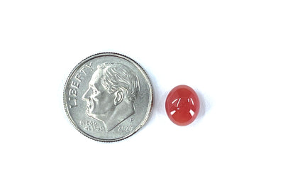 2.35 ct. Natural Reddish Pink Conch Pearl