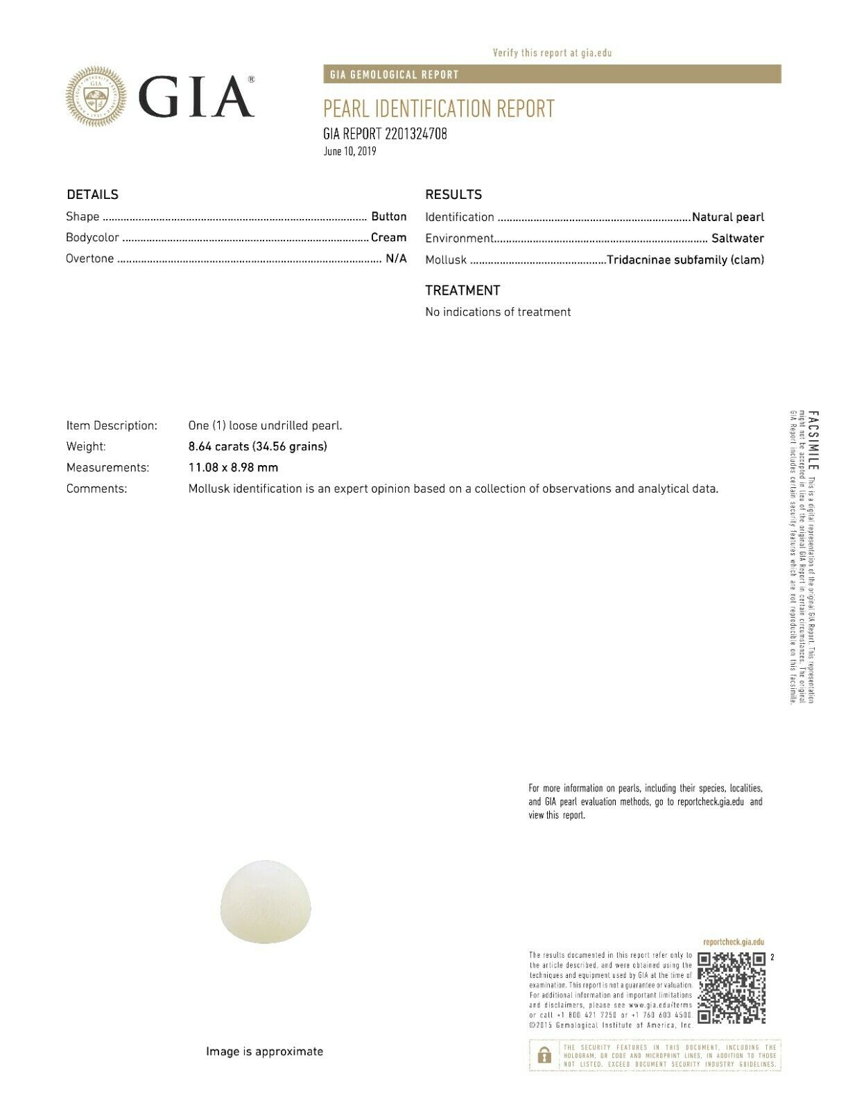 GIA Pearl Identification Report for an 8.64 ct. natural tridacna pearl