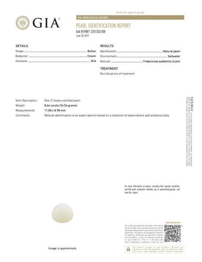GIA Pearl Identification Report for an 8.64 ct. natural tridacna pearl